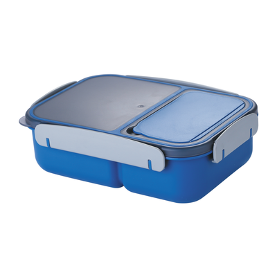 Vague Two Compartment Sealed Lunch Box