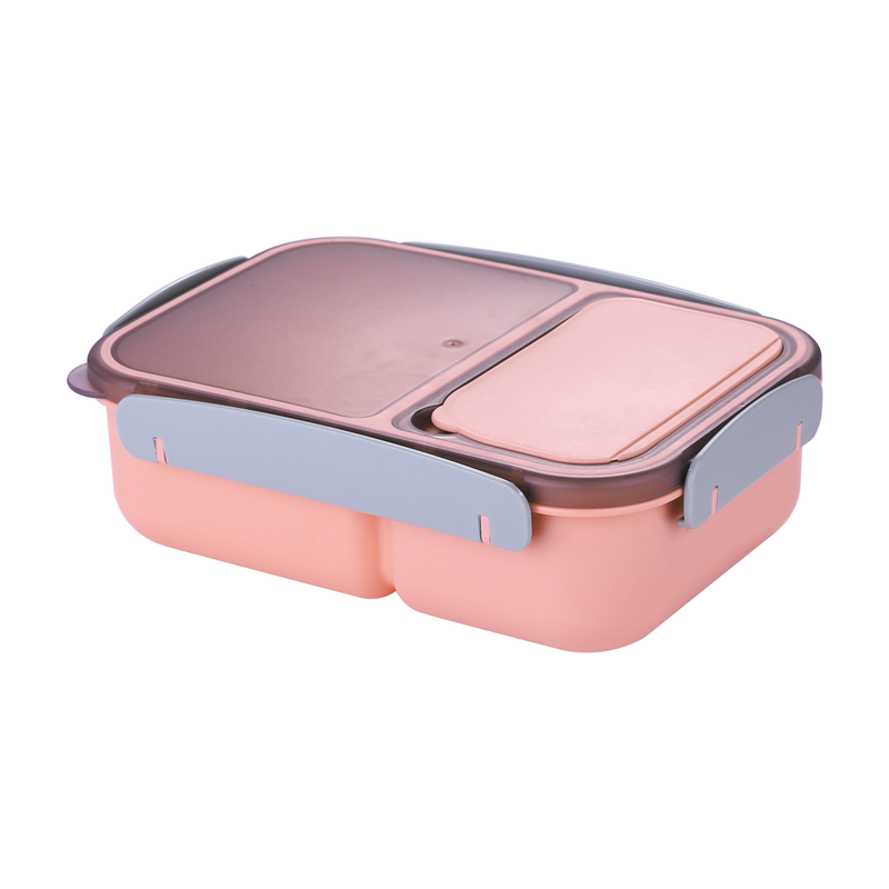 Vague Two Compartment Sealed Lunch Box
