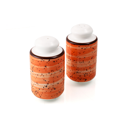 Porceletta Color Glaze Porcelain Cylindrical Salt & Pepper Shakers Set